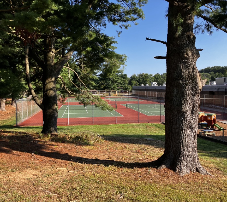 Exterior of the OMHS tennis court between two trees.